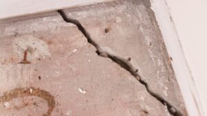 Flooring Damage Insurance Claims Adjusters