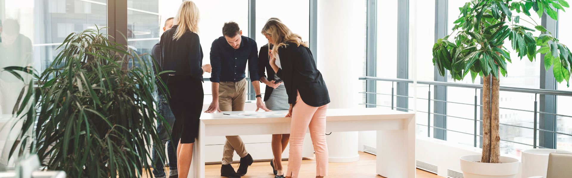 Duties Of A Board Of Directors