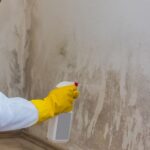 Woman removes mold from wall using spray bottle with mold remediation chemicals