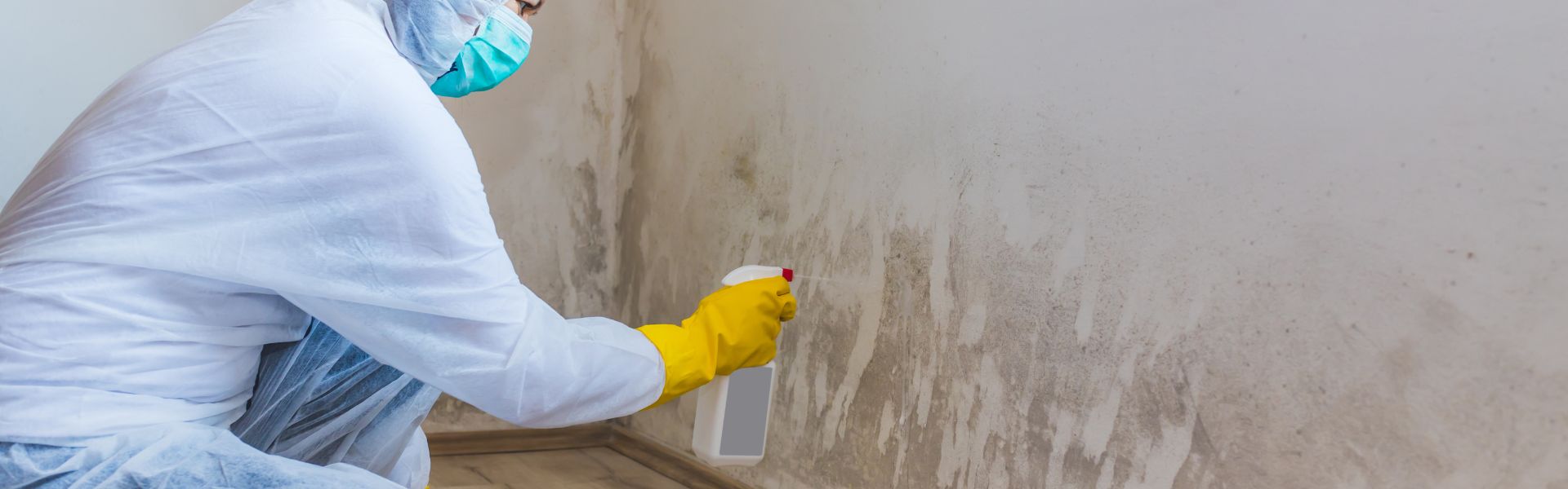 Woman removes mold from wall using spray bottle with mold remediation chemicals