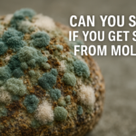can you sue if you get sick from mold