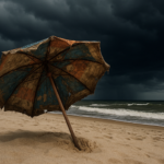 why is insurance leaving florida